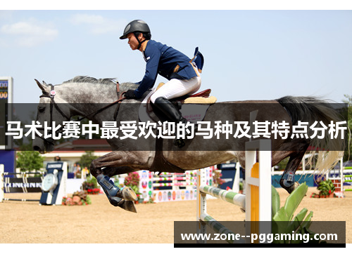 马术比赛中最受欢迎的马种及其特点分析